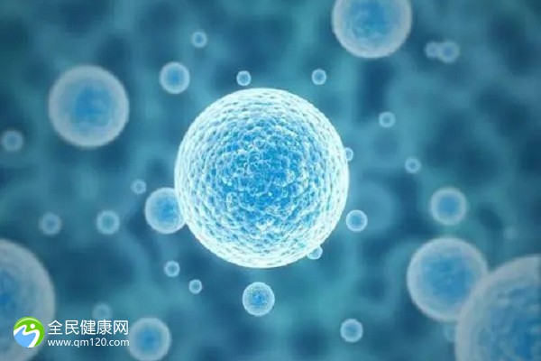 内膜薄5要想试管成功