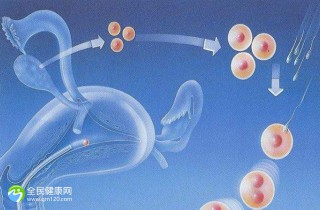 乳腺检查影响试管吗？