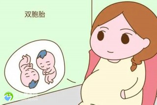 适合孕妇的不含乳糖牛奶品牌,不含乳糖的牛奶牌子