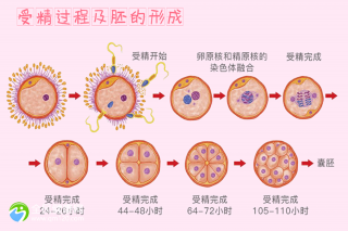 试管三代可以筛查遗传病吗？