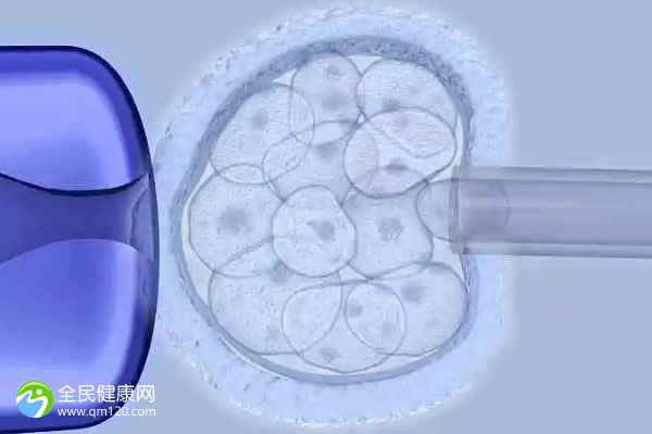 胚胎等级成功率表怎么看出来？
