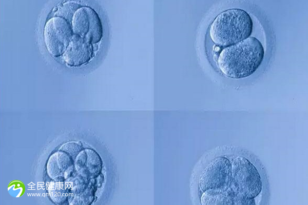 试管可以要求放2个胚胎吗？