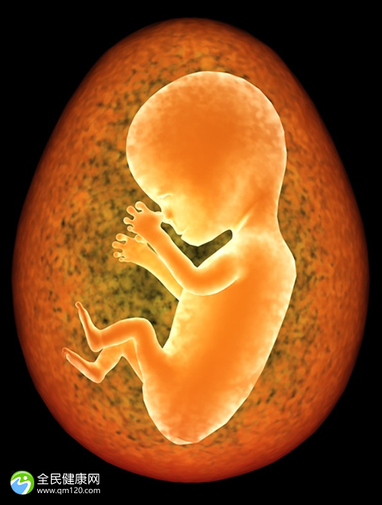 胚胎质量等级c4是多少？