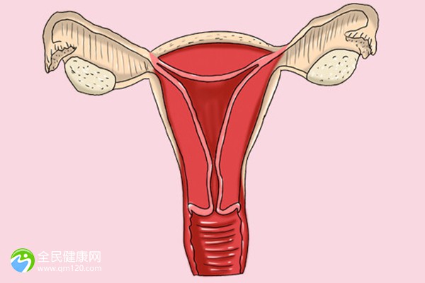 哈尔滨试管机构名单