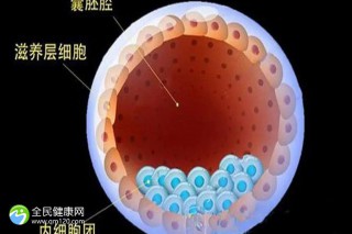 辽宁做试管能报销了吗？