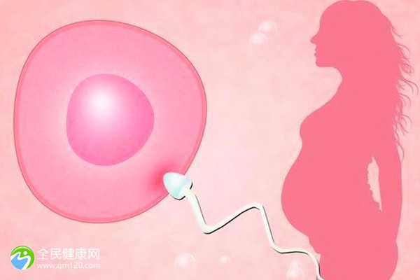 上海做试管婴儿能医保报销吗？
