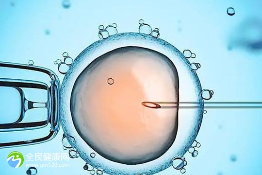 双方女性怎么生试管婴儿？