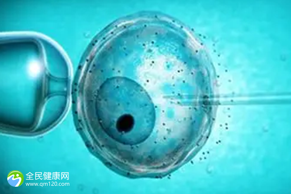 抗精子抗体高做试管可以吗？