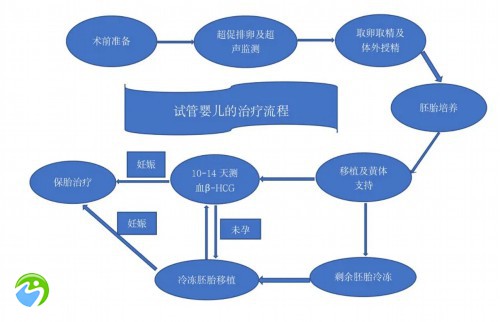 做试管三代的全部流程是什么？