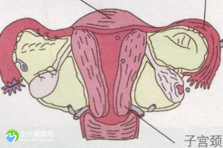 石女可以做试管婴儿么？成功率有多少？