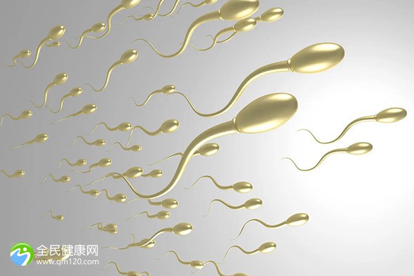杭州试管哪个医院成功率高二胎？