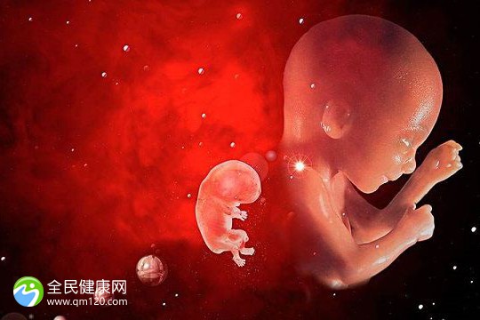 胚胎等级成功率示意图怎么看？放2枚囊胚妊娠率真不低