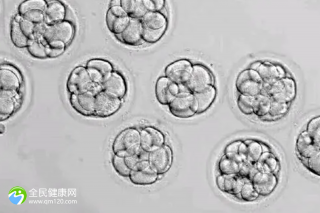 国内医院做试管好吗 现在国内医院做试管好吗