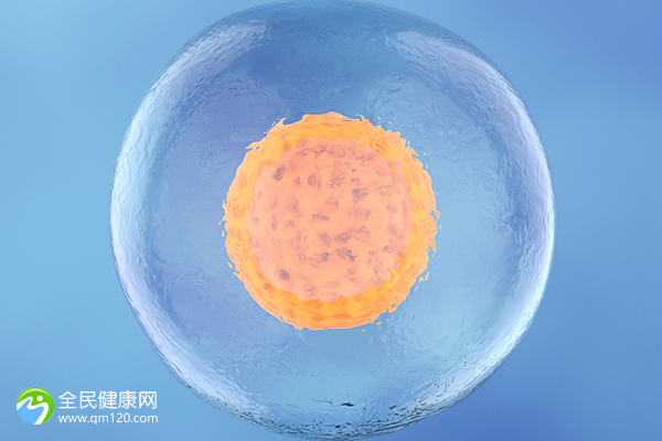 廊坊试管哪个医院可以报销？