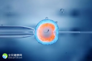 杭州xy精子分离术哪里有做？