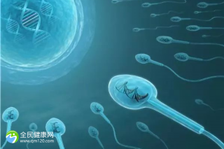 附睾抽吸精子分离术怎么做？