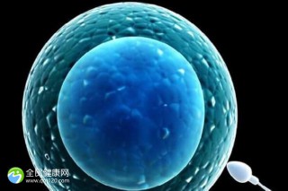 2025邯郸试管不需要结婚证的医院排名最新汇总