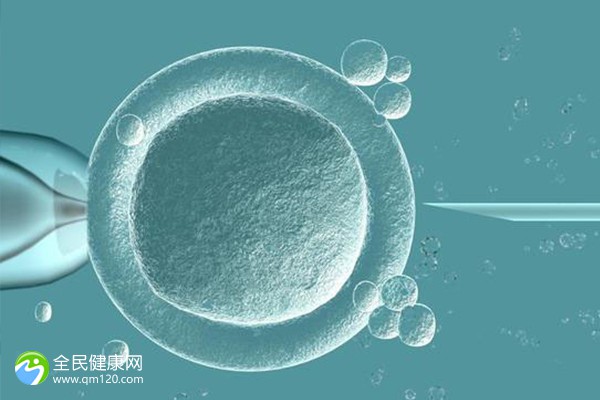卵巢早衰能不能自然怀孕？做试管婴儿成功率或许更高