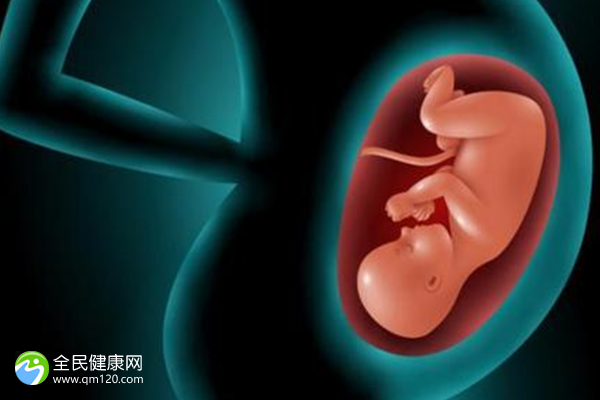 试管第三代囊胚的成功率(试管婴儿三代囊胚淘汰率)