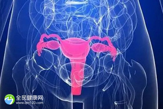 单身女人做试管价格是多少钱？