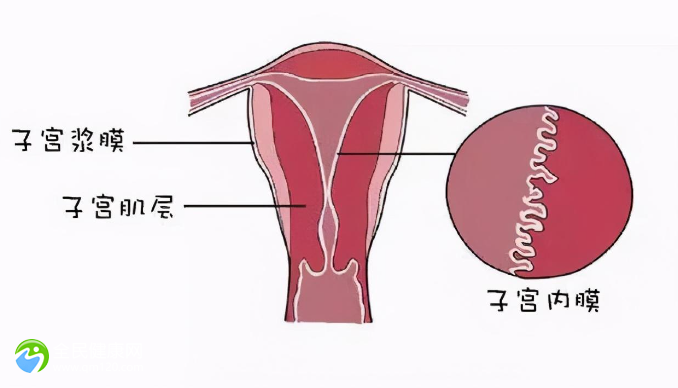 有子宫囊肿做试管婴儿的成功几率有多少？