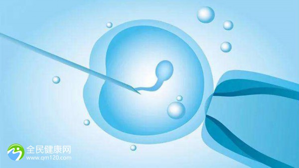 三代试管胚胎活检是检什么_三代试管胚胎检测成功率