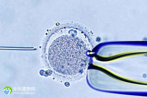 2024蚌埠不孕不育医院排名-蚌埠生殖中心推荐