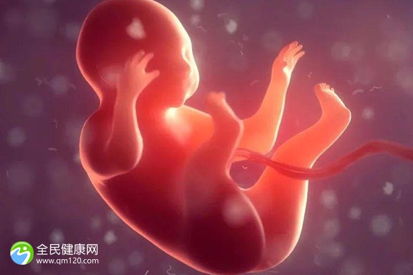 试管子宫增生胚胎能着床吗？