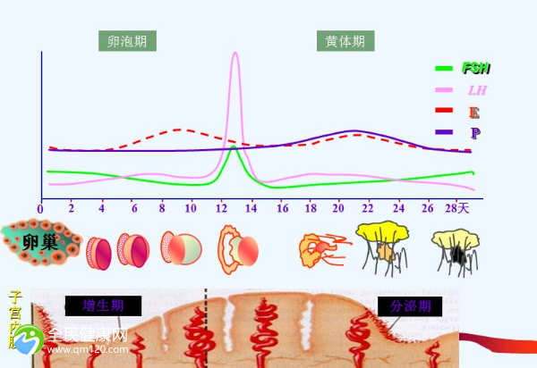 41岁做试管婴儿失败率高吗