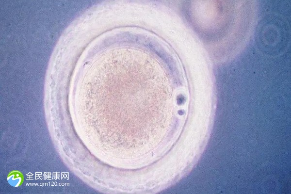 试管婴儿男方啥时候检查？试管婴儿男方啥时候检查比较好？