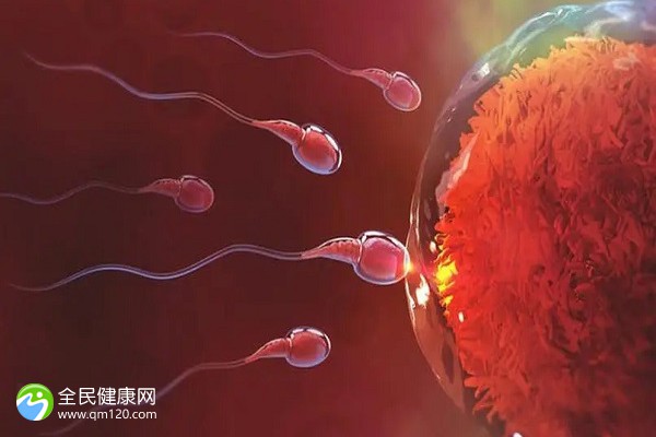 南京正规的助孕机构可以签约吗