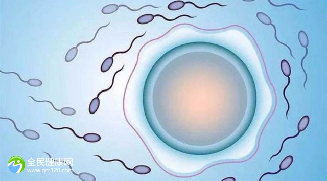 三代试管胚胎染色体筛查成功率