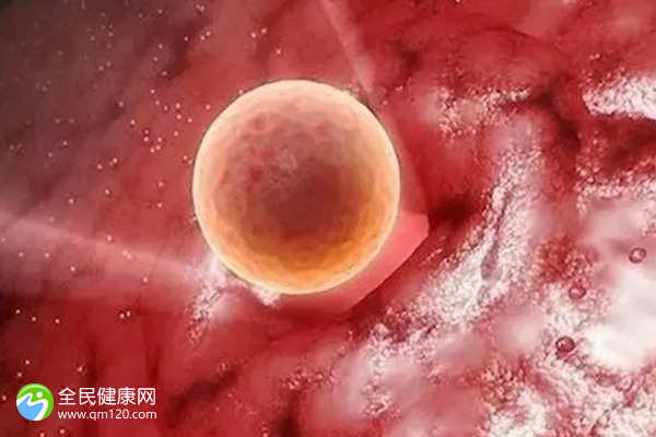 桂林试管婴儿助孕机构