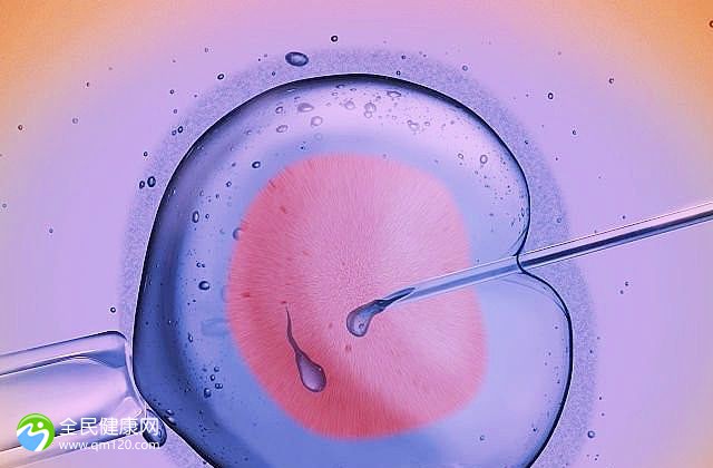 武汉大学中南医院胚胎移植流程，二胎移植冻胚详细经历