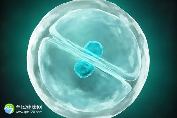 三代试管胚胎能移植几个