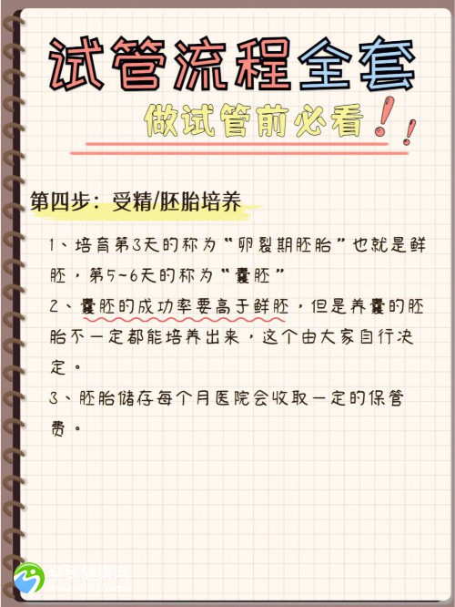 试管婴儿想要二胎流程，做试管二胎的流程或者要多少钱？