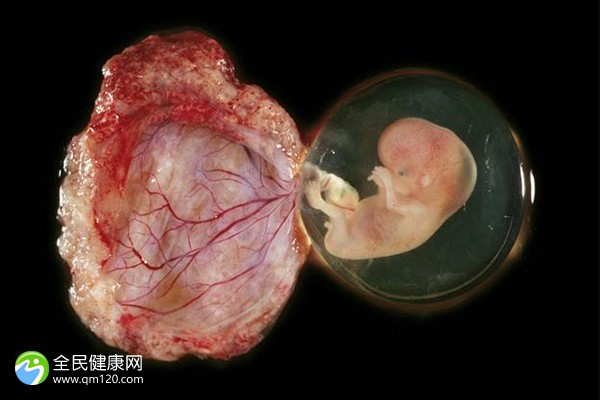 42岁试管婴儿攒多少个胚胎合适？