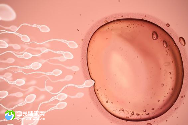 泰国试管胚胎的成功率，泰国试管胚胎的成功率是多少？
