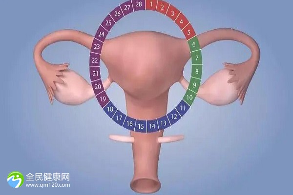 徐州做三代试管婴儿的医院推荐