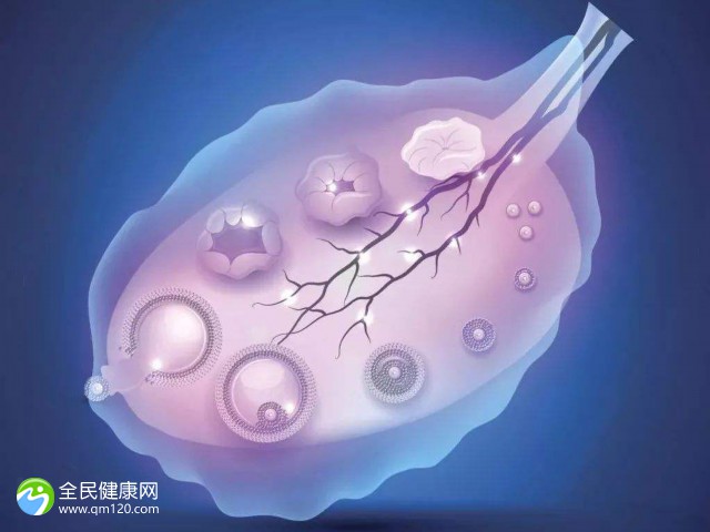 子宫内膜厚加巧囊试管能移植吗？