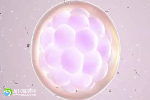 三代试管会移植错胚胎吗？