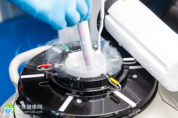 冻融胚胎步骤及流程，移植最优方案奉上