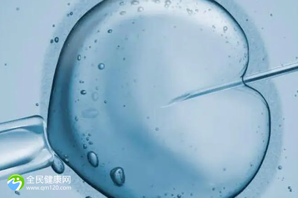 三代试管啥时候能移植囊胚？