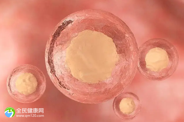 精子密度怎么计算(精子密度正常范围)