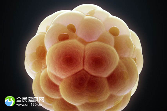 广州助孕私立医院排名榜单公布，2024广州试管助孕机构推荐