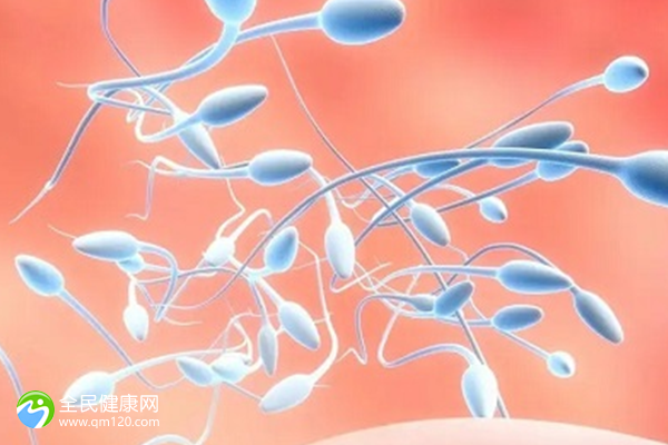 为什么只有精子存储医院没有卵子存储医院 北京试管助孕公司