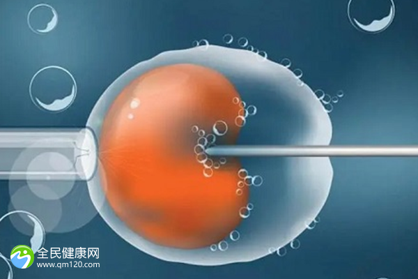 34岁重庆做试管助孕成功率(重庆试管成功率排名)
