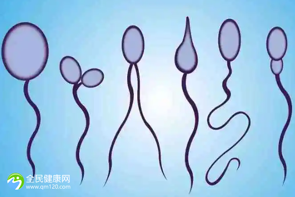 女方正常男人弱精子症，试管成功几率能达到多少？