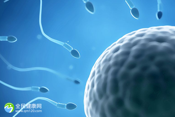 北京试管助孕婴儿医院排名(北京助孕机构排名)