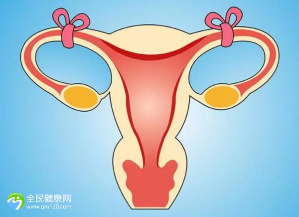 输卵管结扎可做试管么 输卵管结扎可以做试管婴儿吗